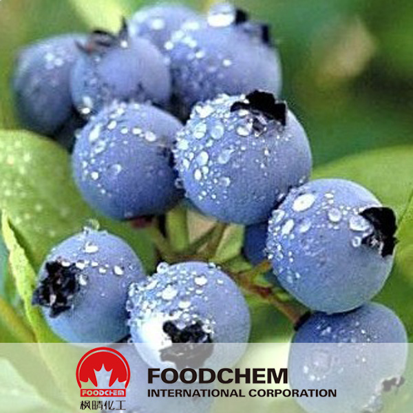 Bilberry Extract