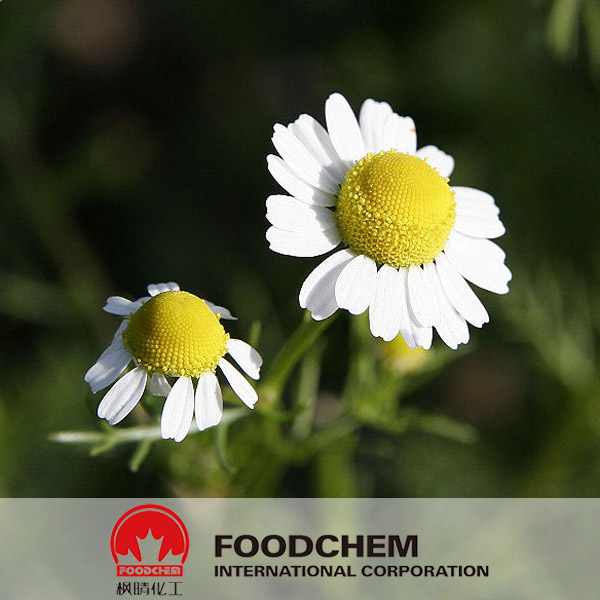 Chamomile Extract